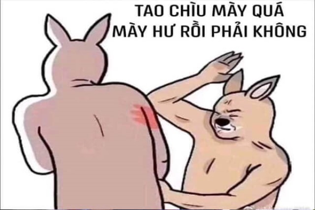 Hình ảnh Meme người Thỏ đánh bạn